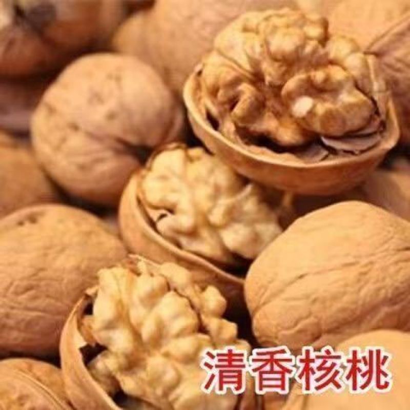 核桃树苗美国碧根果树苗嫁接苗核桃苗长寿果南方北方种植当年