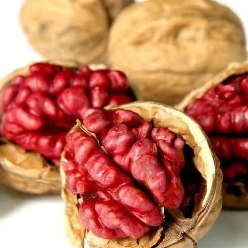 核桃树苗美国碧根果树苗嫁接苗核桃苗长寿果南方北方种植当年