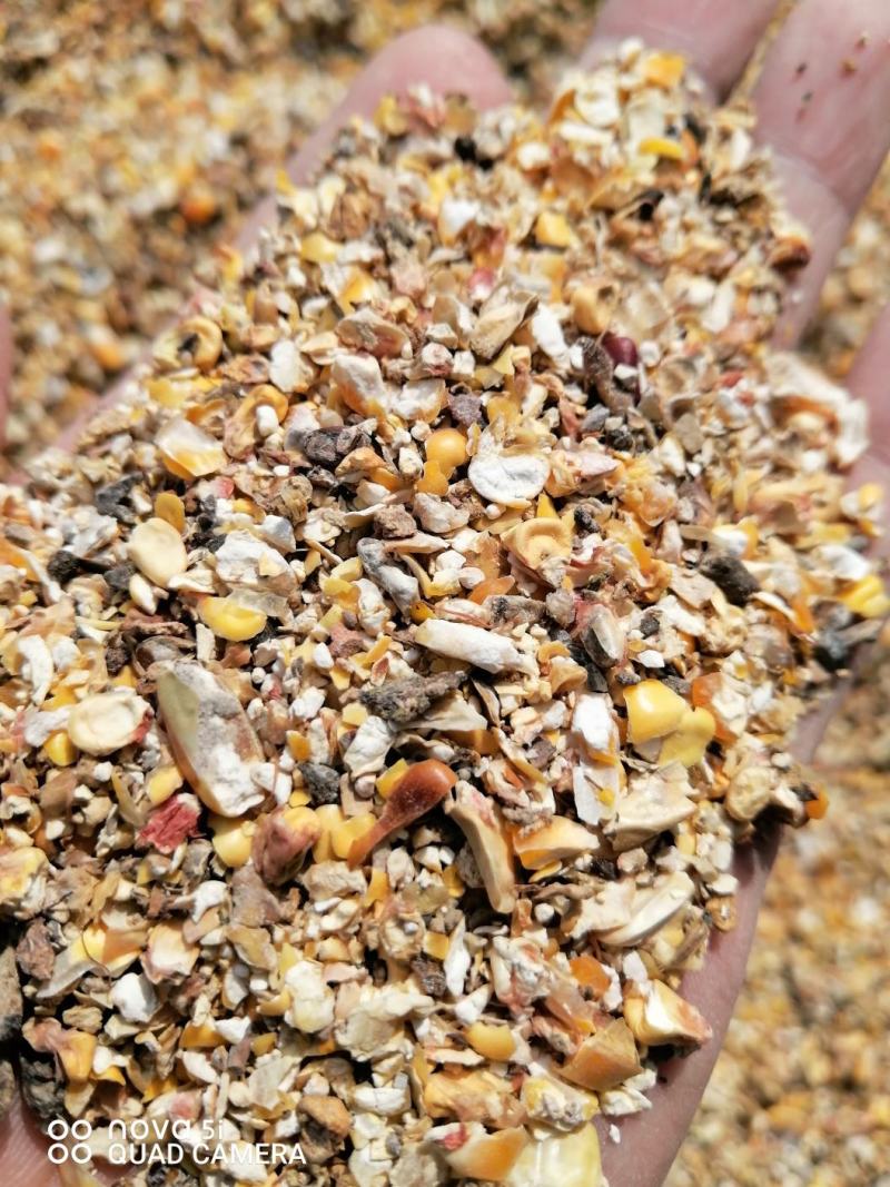 碎玉米.鹅料，碎麦，碎玉米，高粮，等付产品，有大形加工