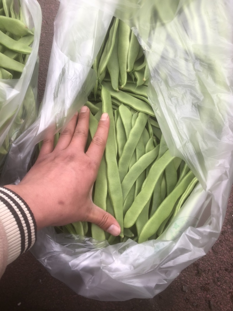 徐州芸豆，物美价廉，货源充足，欢迎老板选购！