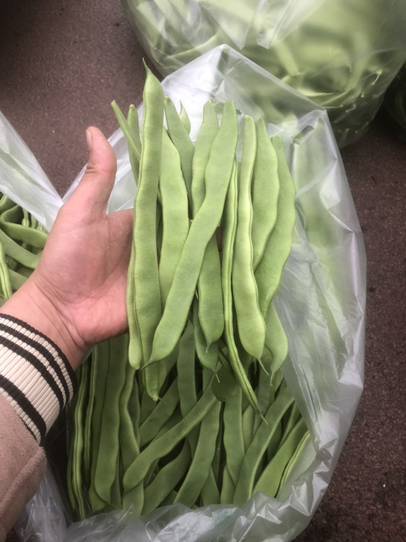 徐州芸豆，物美价廉，货源充足，欢迎老板选购！