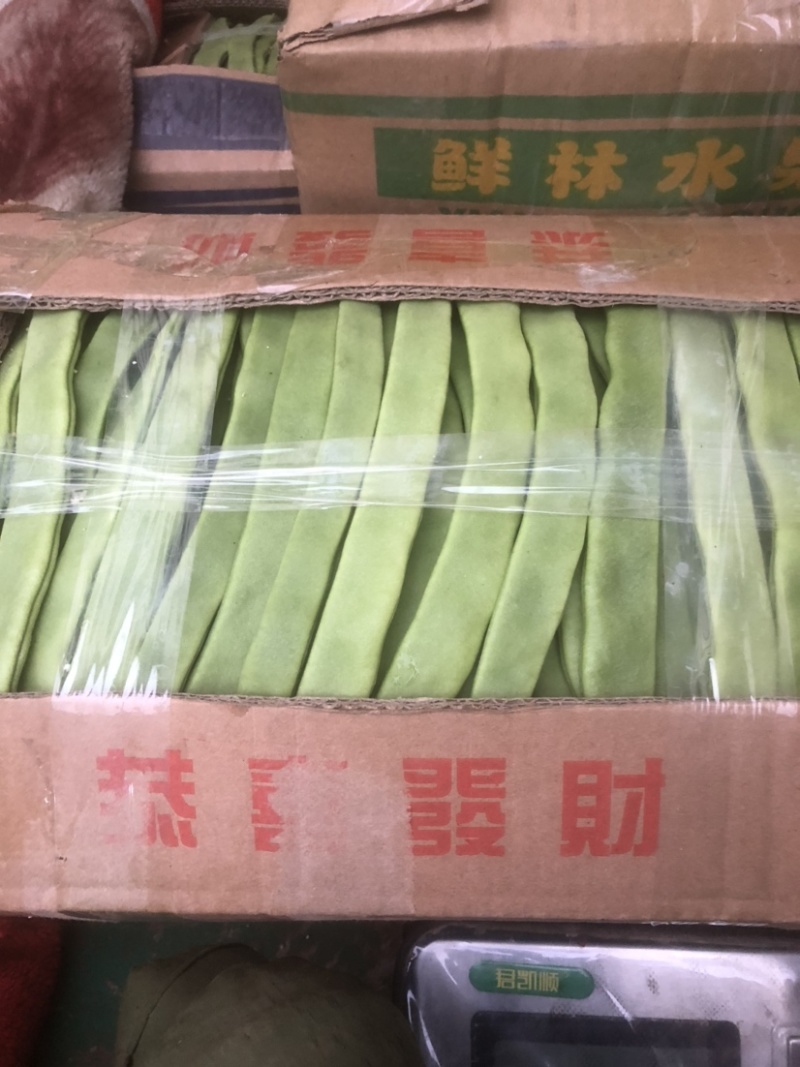 徐州芸豆，物美价廉，货源充足，欢迎老板选购！