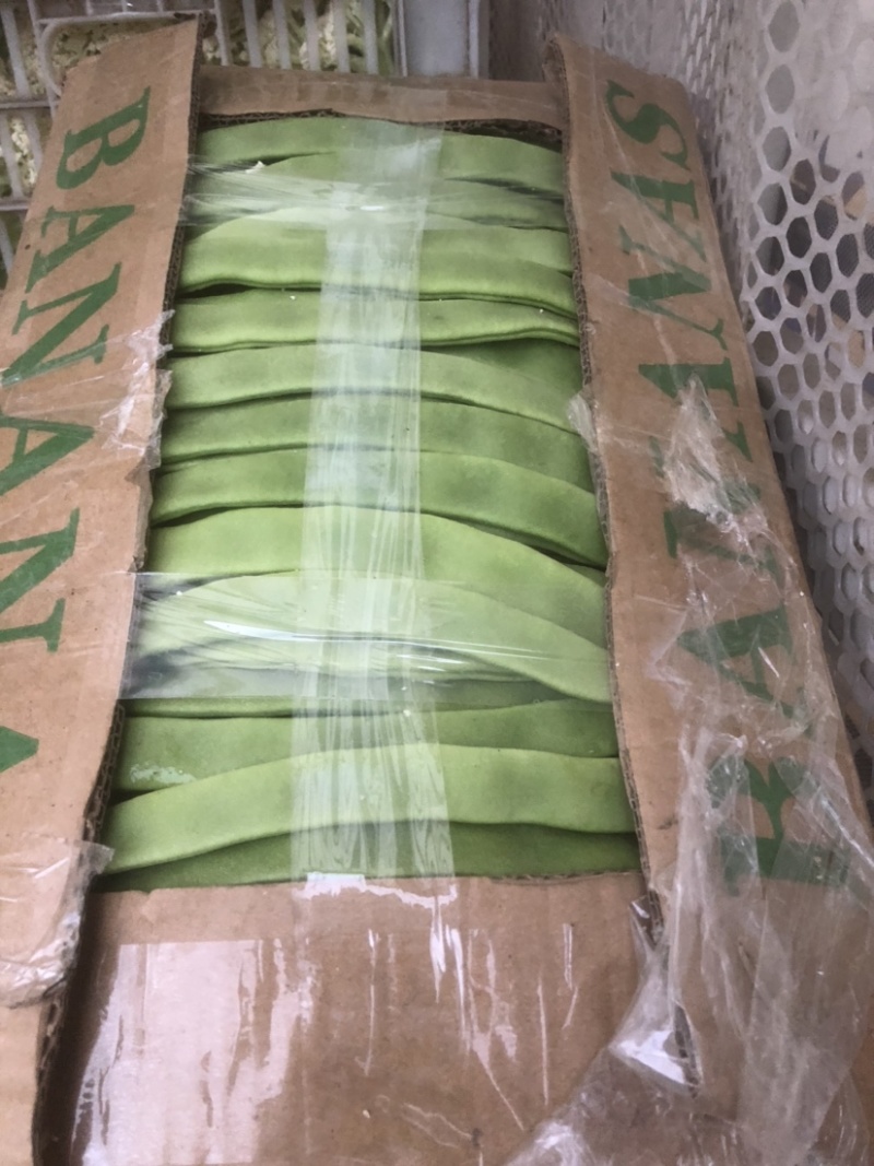 徐州芸豆，物美价廉，货源充足，欢迎老板选购！