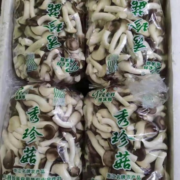 秀珍菇