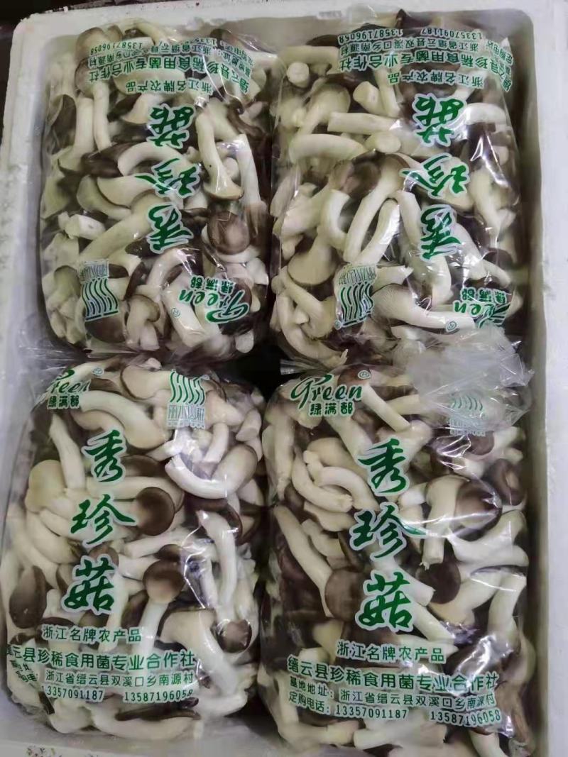 秀珍菇
