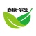 紫皮哈密红薯苗徐薯24红薯苗、雪艳红薯苗、拔苗大田苗