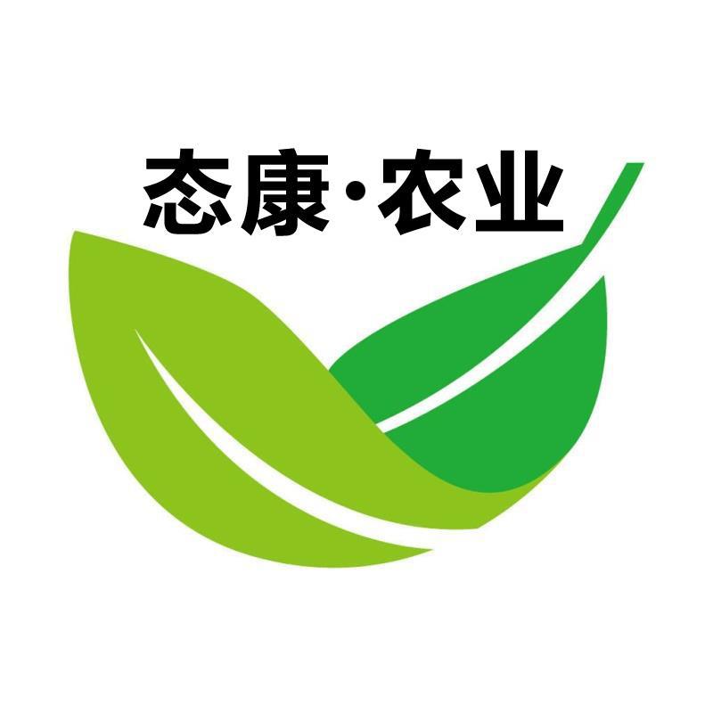 紫皮哈密红薯苗紫皮哈密大田苗、雪艳红薯苗、拔苗大田苗