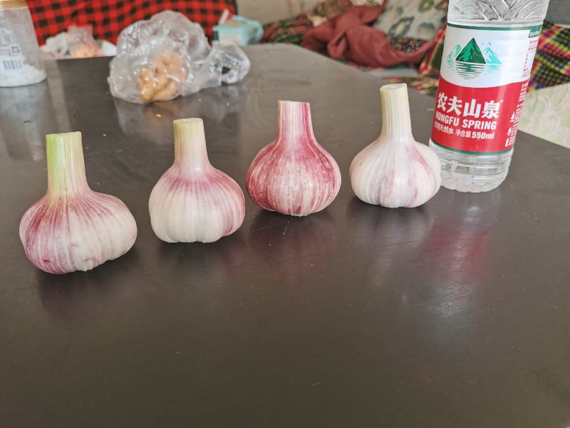 淮阳鲜蒜上市价格不高，扒皮蒜，带土毛蒜！！