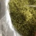 金银花山东临沂产地供应厂家直销现货绒毛