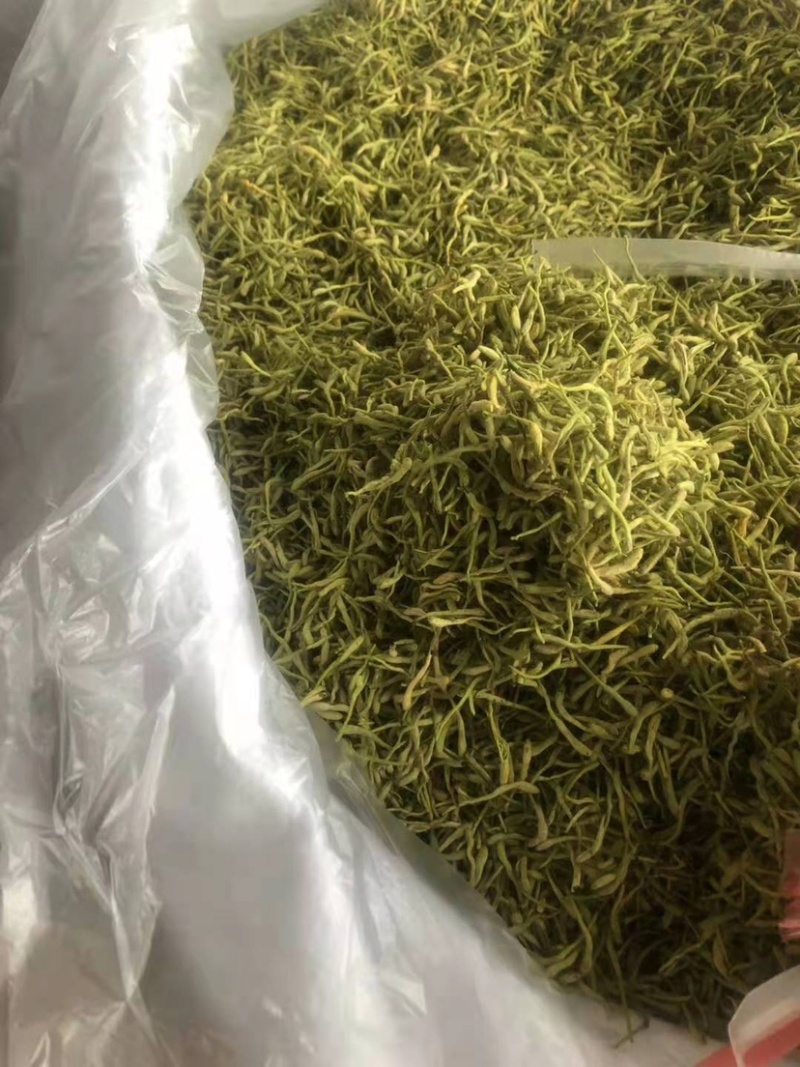 金银花山东临沂产地供应厂家直销现货绒毛