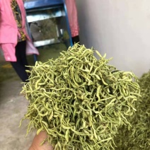 金银花山东临沂产地供应厂家直销现货绒毛