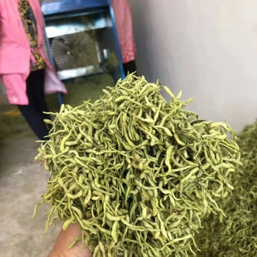 金银花山东临沂产地供应厂家直销现货绒毛