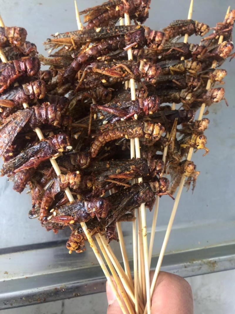 秘制烧烤蚂蚱串