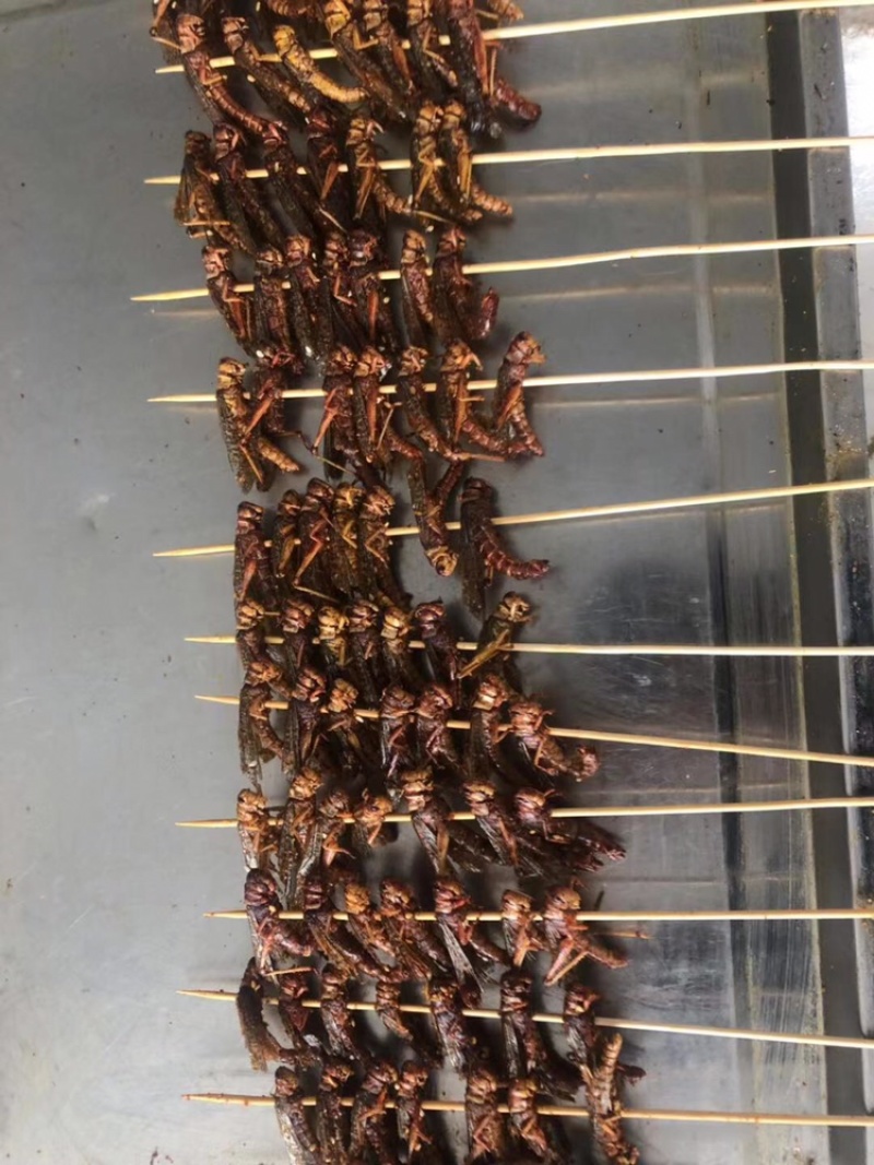 秘制烧烤蚂蚱串