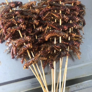 秘制烧烤蚂蚱串