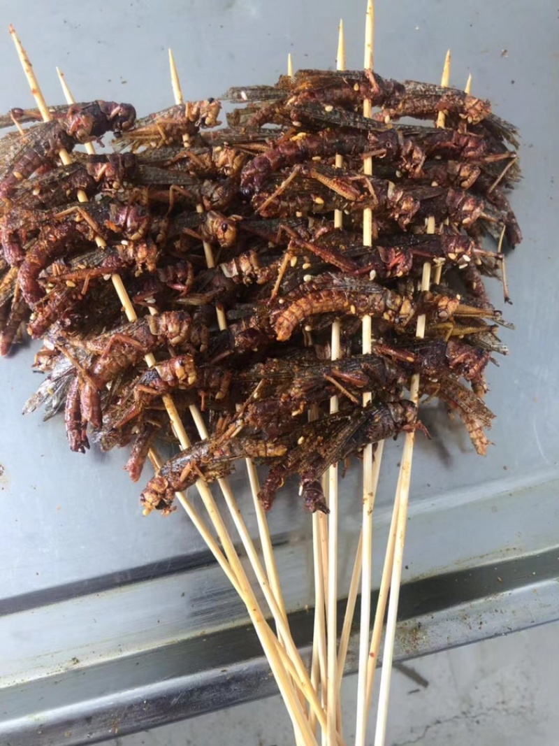 秘制烧烤蚂蚱串