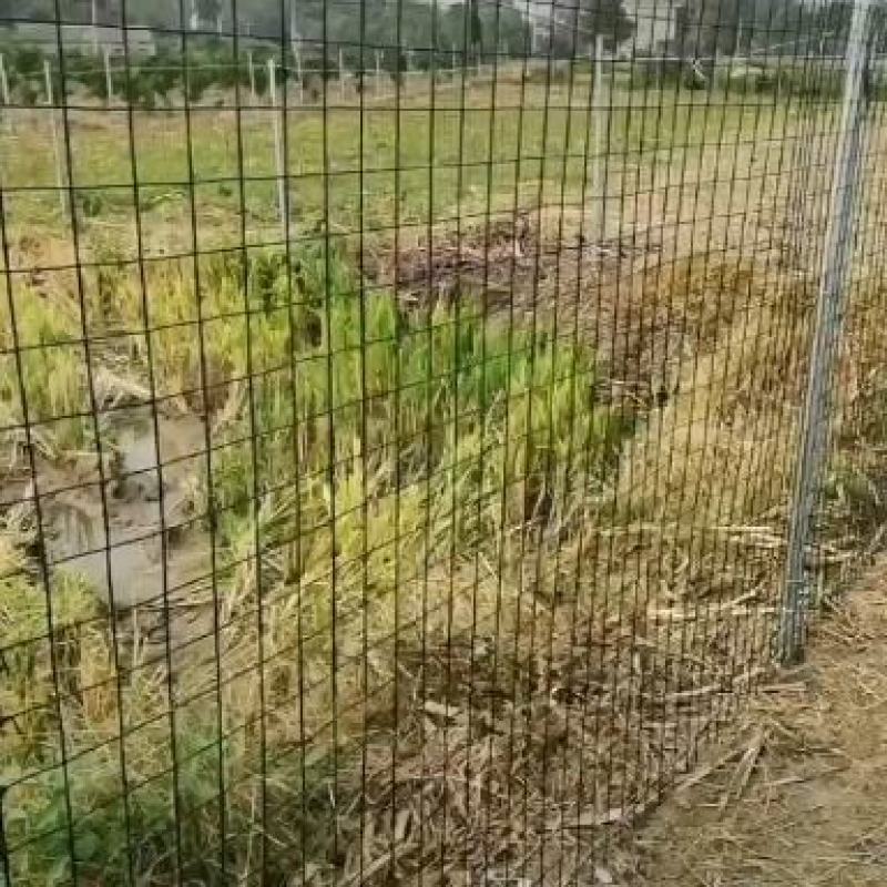 养殖种植围网，结实牢固的，经济实惠的，根据情况选择