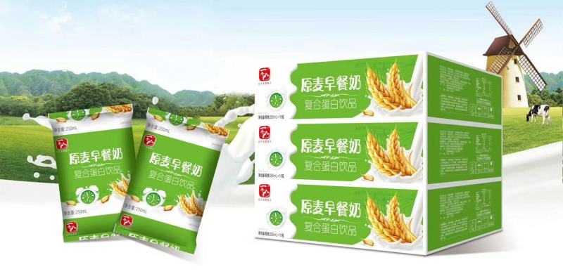 养参堂食品一个山®原麦早餐高钙核桃+牛奶，复合蛋白饮品