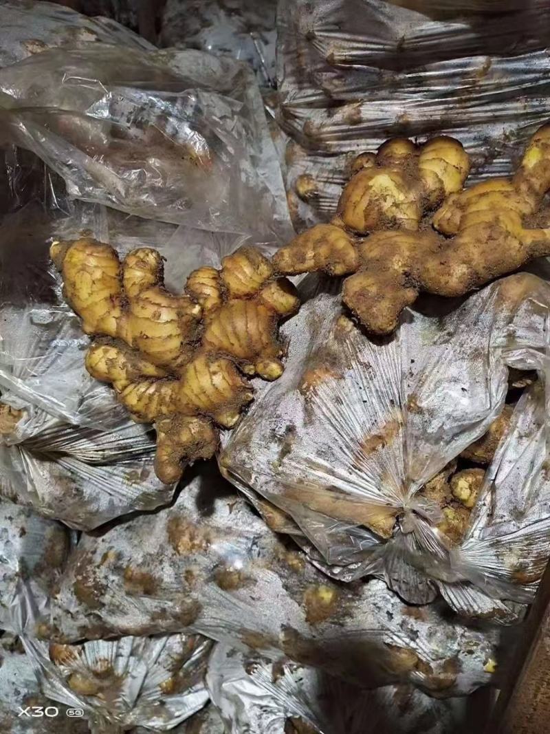 山东大姜，货源充足质量保证，价格实惠可以水洗，量大产区