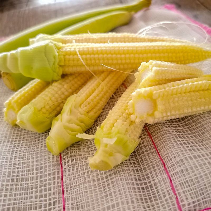 广东新鲜现摘带皮玉米笋须水果小玉米芯食材包邮。