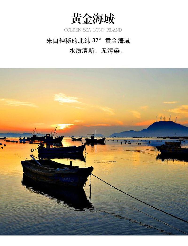 【产地直】【一件代发】烤虾干即食对虾干烤虾干虾包邮