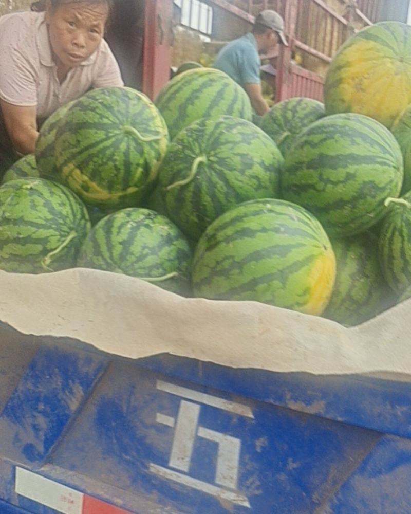 【西瓜】甜王产地直供，皮毛亮，耐运输，为全国各地电商供货