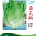 绵蔬葳尼斯生菜/生菜种子/蔬菜种子/叶菜种子/