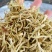 金银花山东临沂产地供应厂家直销现货绒毛
