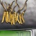 鲜草2021年冬虫夏草5根一独立真空包装顺丰包邮