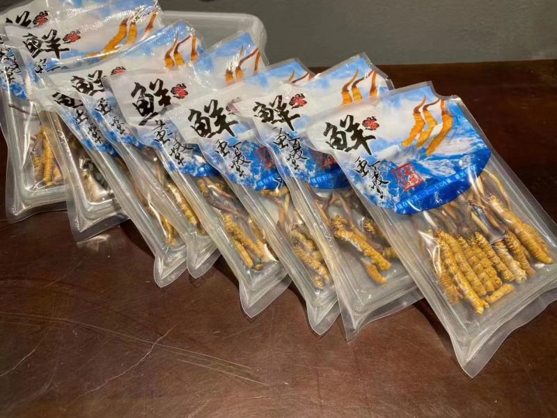 冬春夏草，新鲜断草，全国包邮原产地发货货源充足