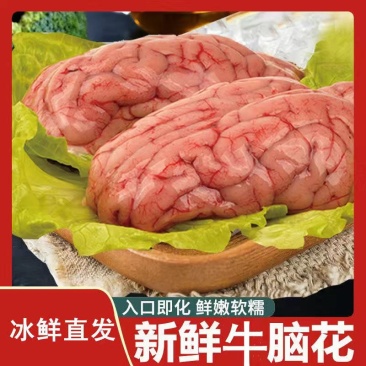 （包邮）新鲜牛脑花黄牛脑花涮火锅食材专用真空包装