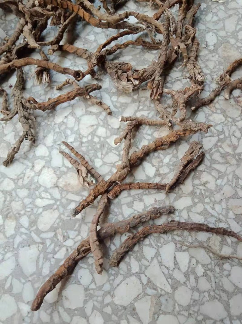 水洗石菖蒲