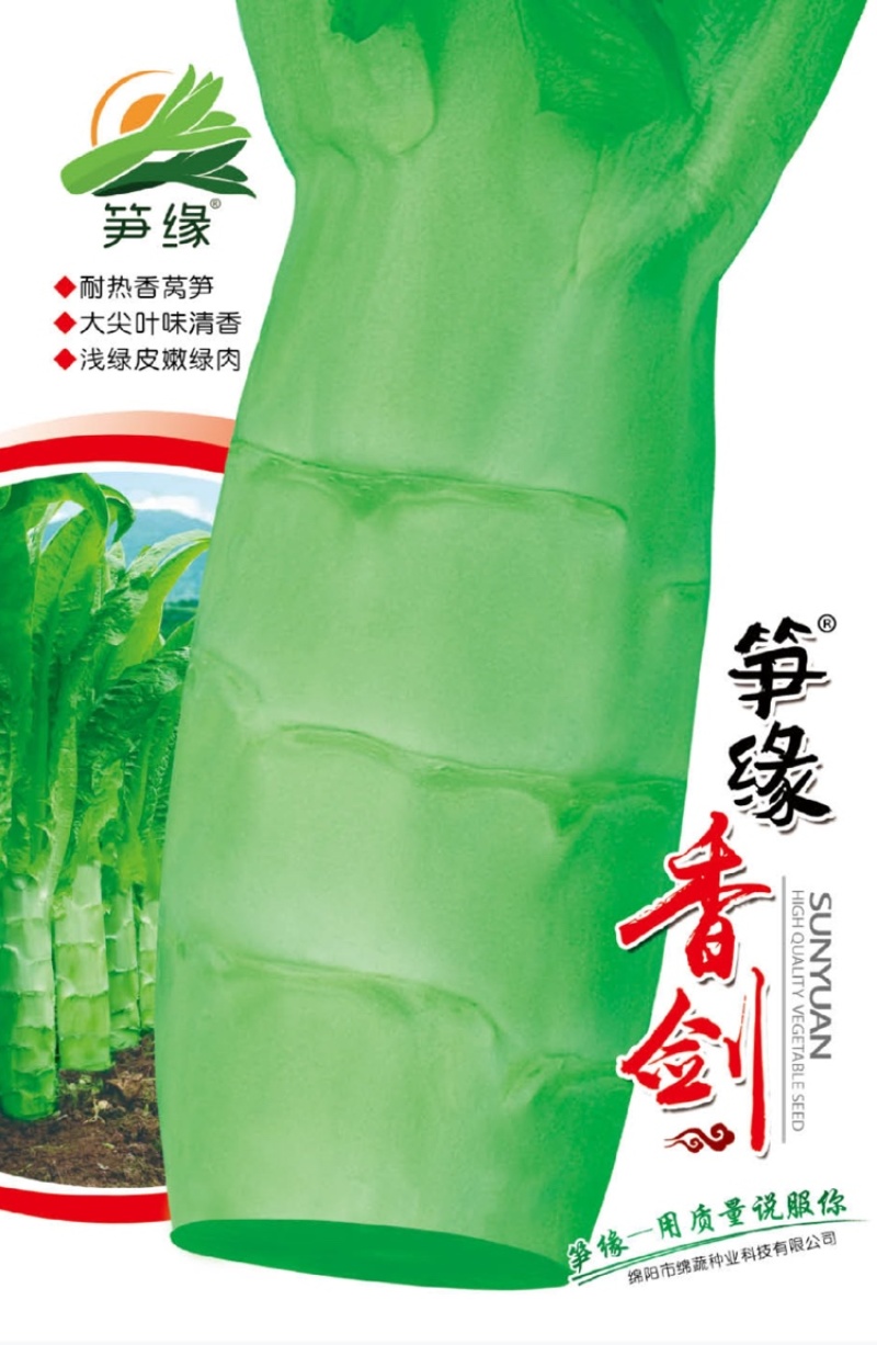 笋缘香剑/莴苣种子/莴笋种子/蔬菜种子/耐热莴笋