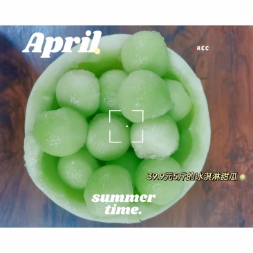 玉菇甜瓜冰激凌甜瓜网红爆款万亩基地大量供应