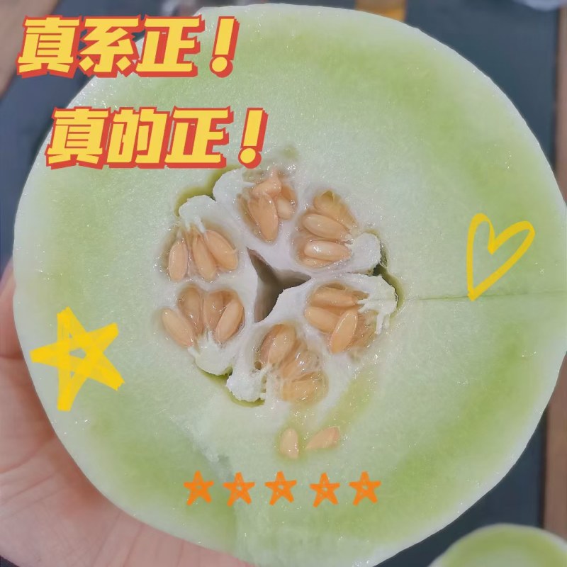 玉菇甜瓜冰激凌甜瓜网红爆款万亩基地大量供应