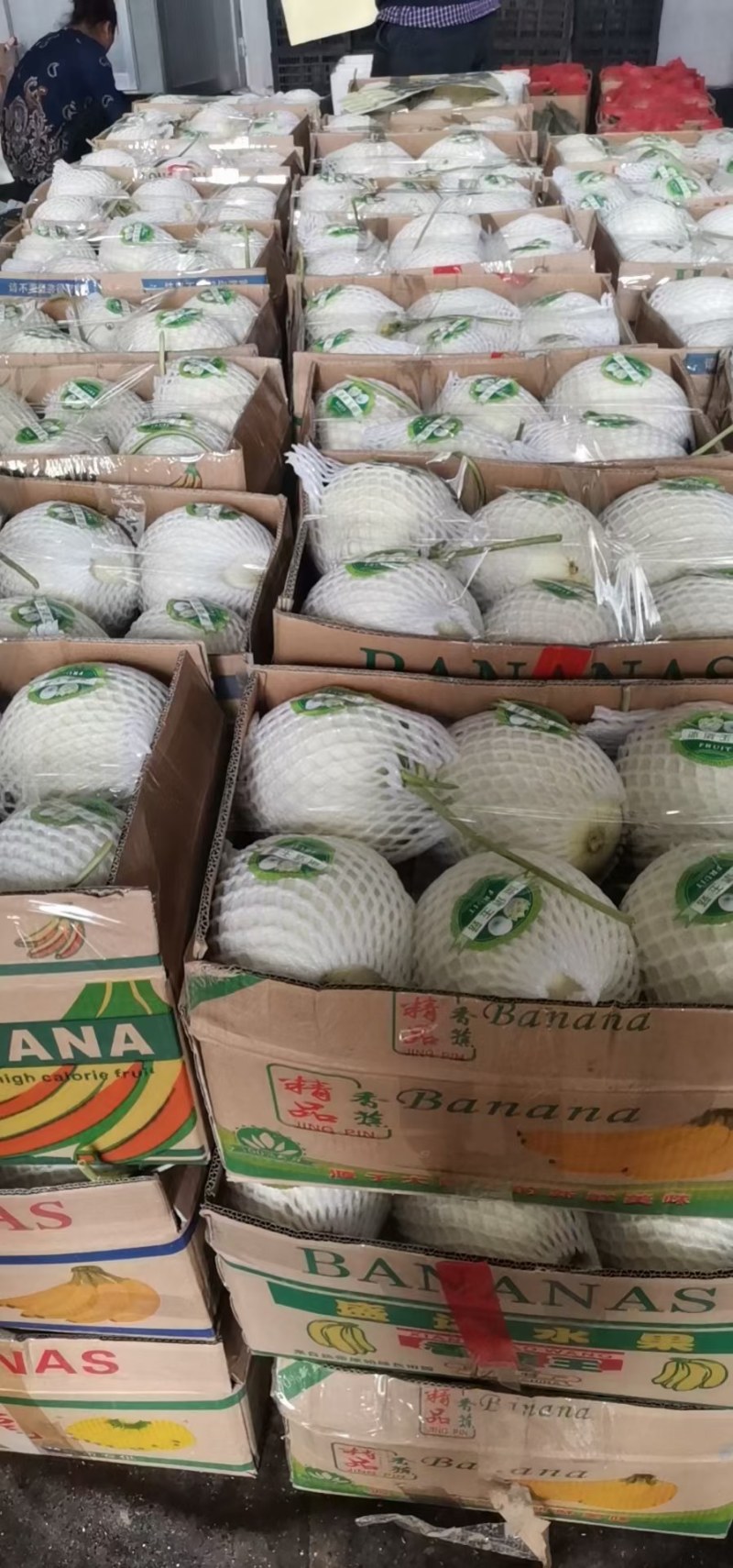 玉菇甜瓜冰激凌甜瓜网红爆款万亩基地大量供应