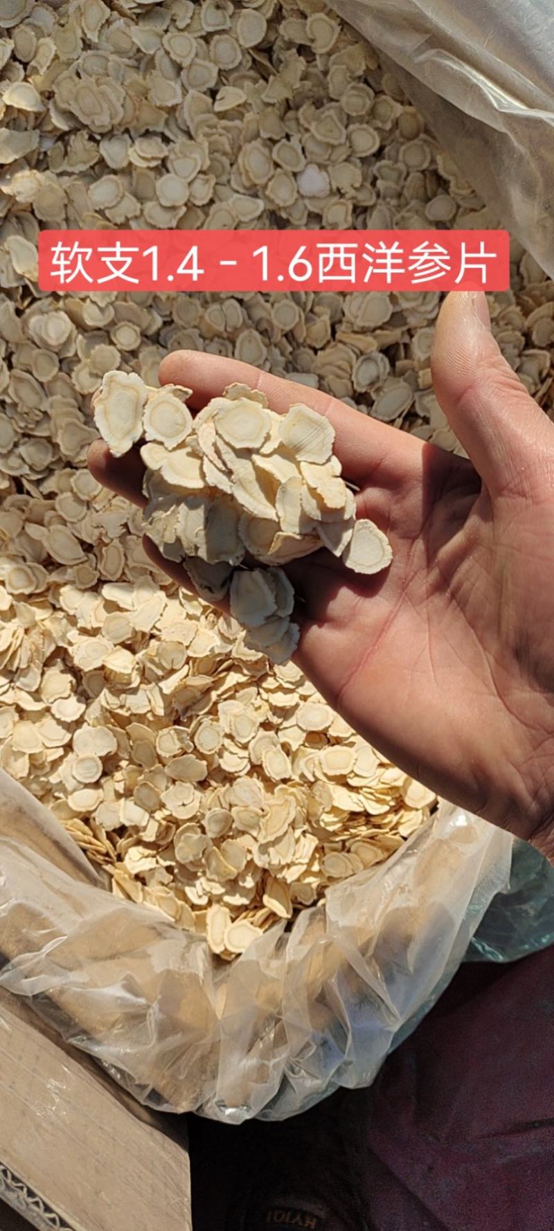 【精品】长白山软支西洋参大片产地批发包邮