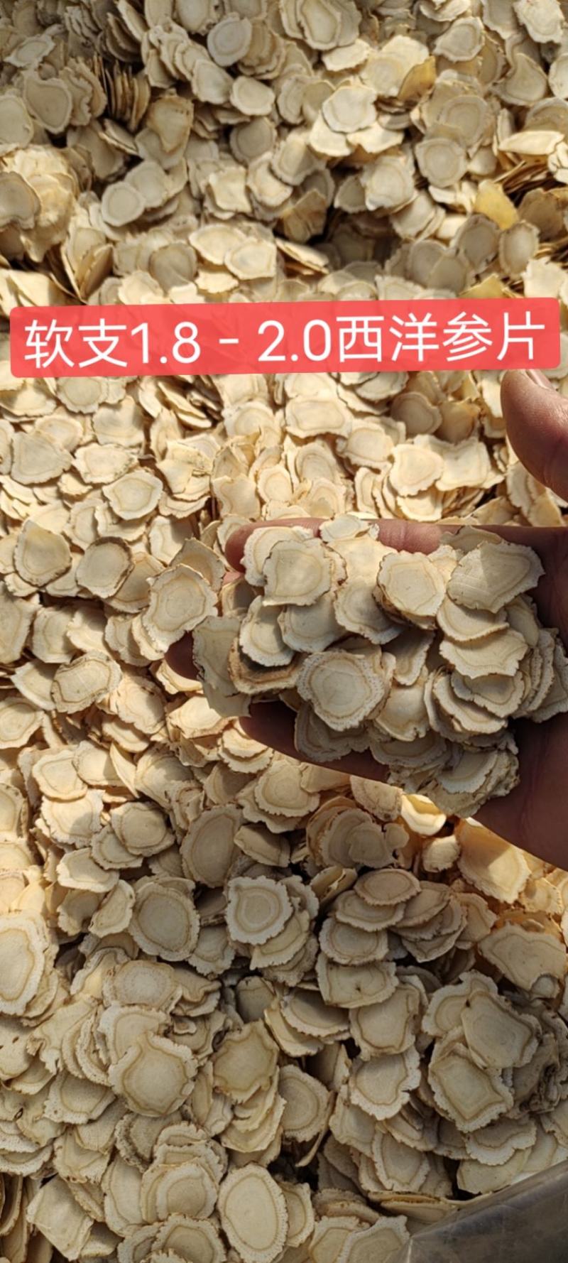 【精品】长白山软支西洋参大片产地批发包邮
