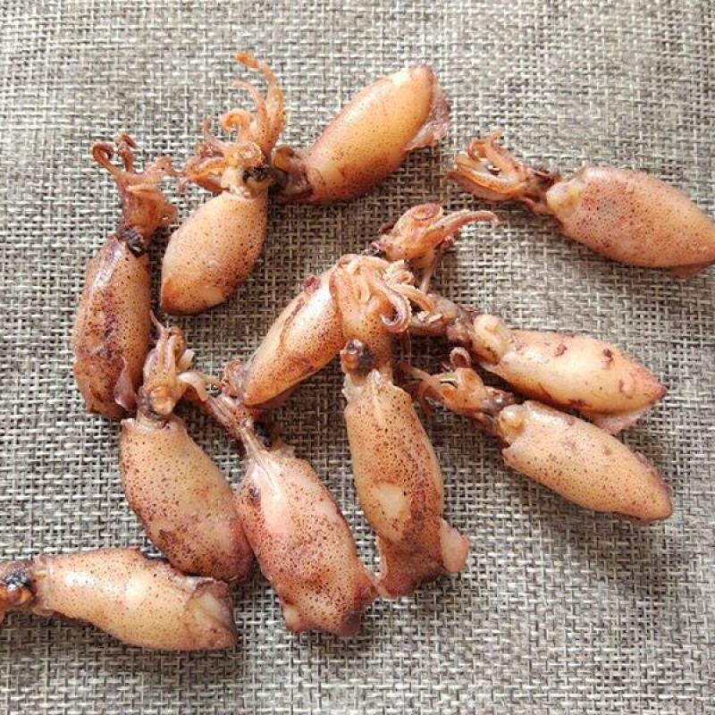 新货海兔干笔管鱼干海鲜干货鱼干包邮