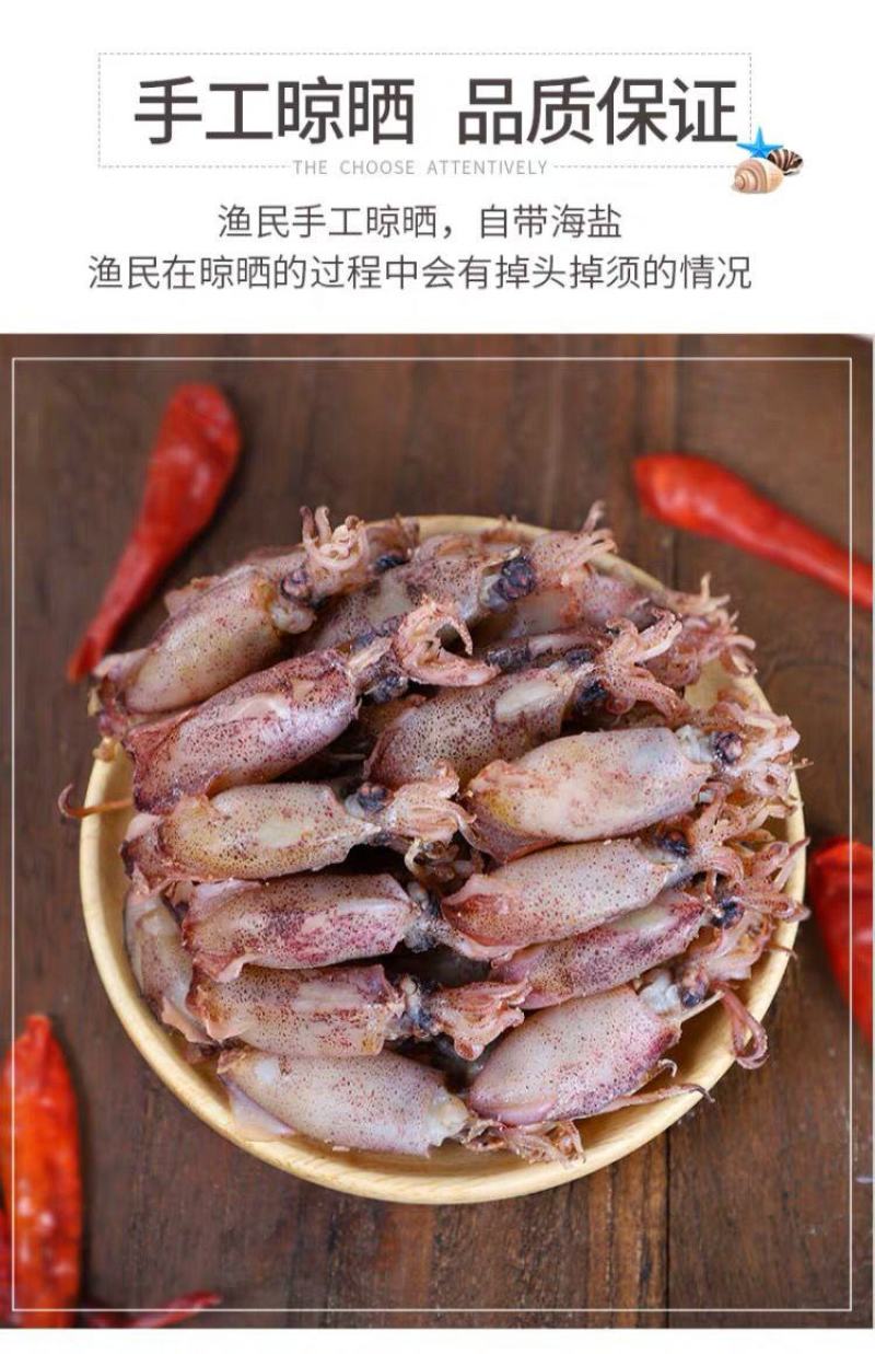 新货海兔干笔管鱼干海鲜干货鱼干包邮