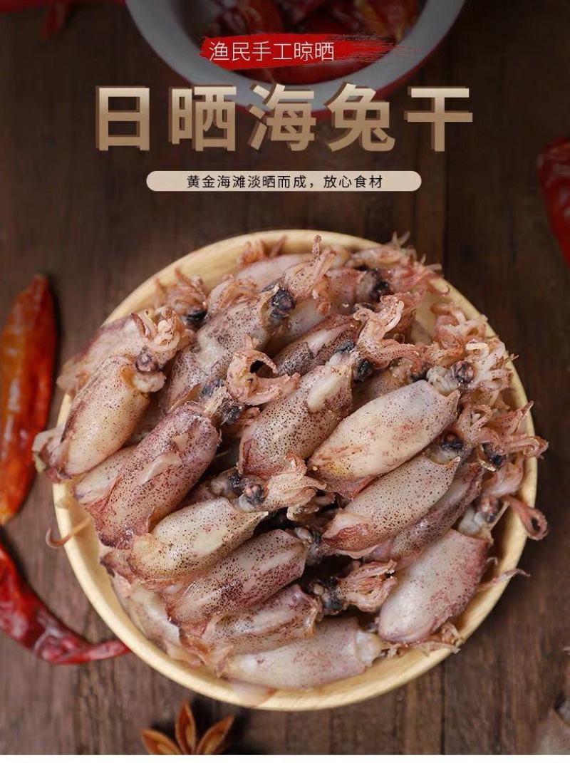 新货海兔干笔管鱼干海鲜干货鱼干包邮