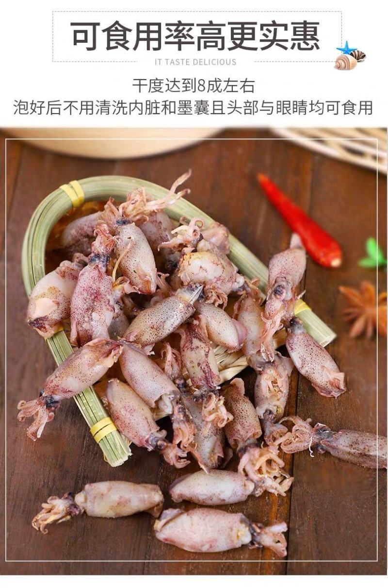 新货海兔干笔管鱼干海鲜干货鱼干包邮