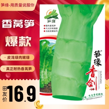 笋缘香剑/莴苣种子/莴笋种子/蔬菜种子/耐热莴笋
