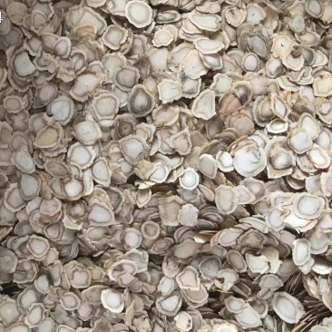 西洋参片1.4-2.0软质参片加拿大花旗参片特大片