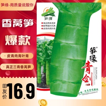 笋缘青剑/莴笋种子/莴苣种子/蔬菜种子/耐寒莴笋