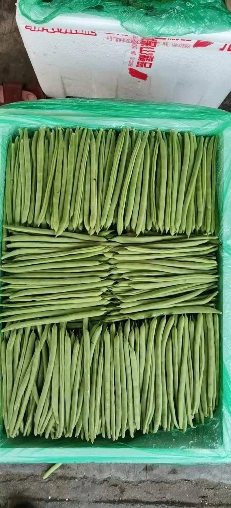 广东惠州四季豆，适合各大电商超市，质量保证，代发全国