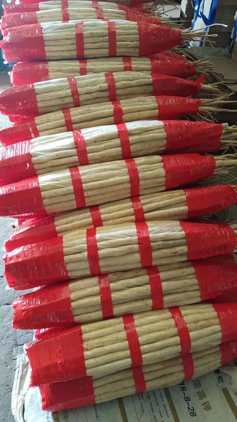 A级紫山药，日供货量达到5-10万斤，对接全国欢迎选购