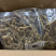 原条干巴戟天泡酒巴戟天