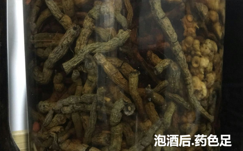 原条干巴戟天泡酒巴戟天