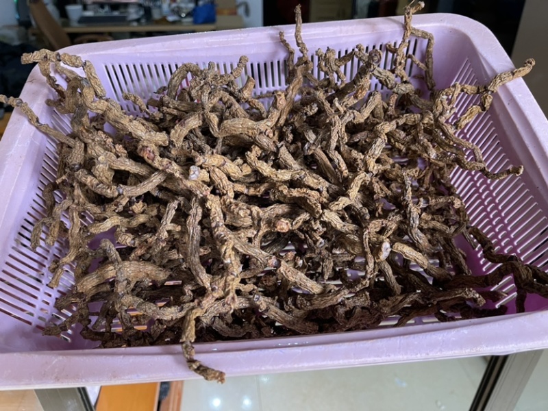 原条干巴戟天泡酒巴戟天